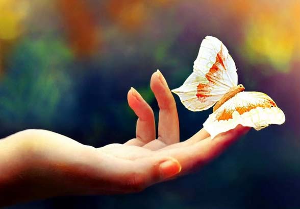 Soins énergétiques à Trélazé Angers soin energetiques à Trélazé angers